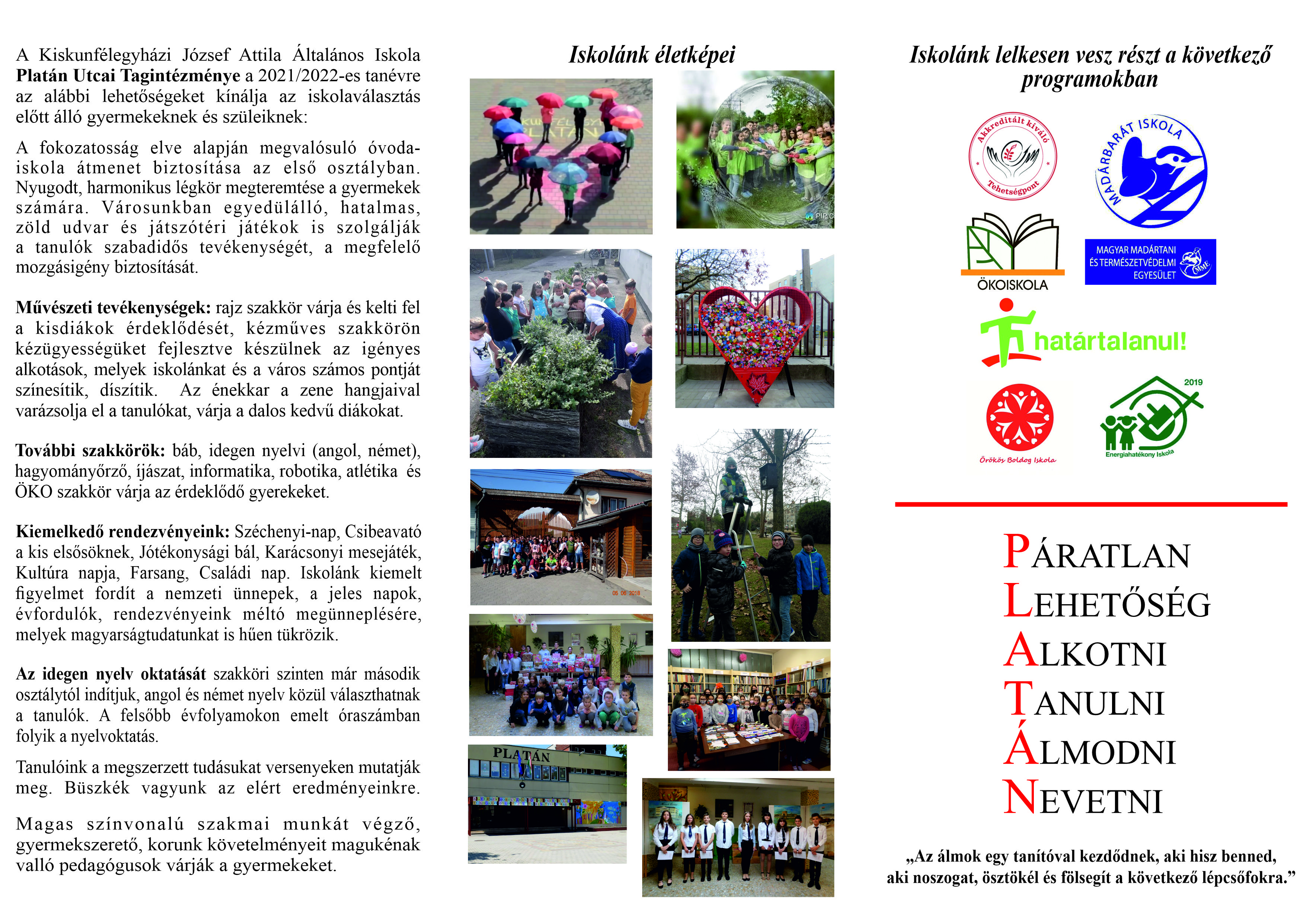 platan_bemutatkozo_2
